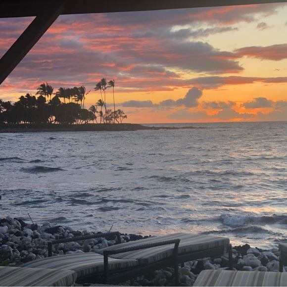 Meet your Posher, Dee - Picture 1 of 1